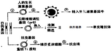 生物工程技术为人们获得需要的生物新品种或新产品提供了便利.据图描述正确的是