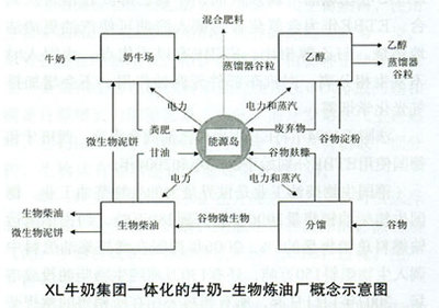 发展可再生燃料推进减排的现状和趋势