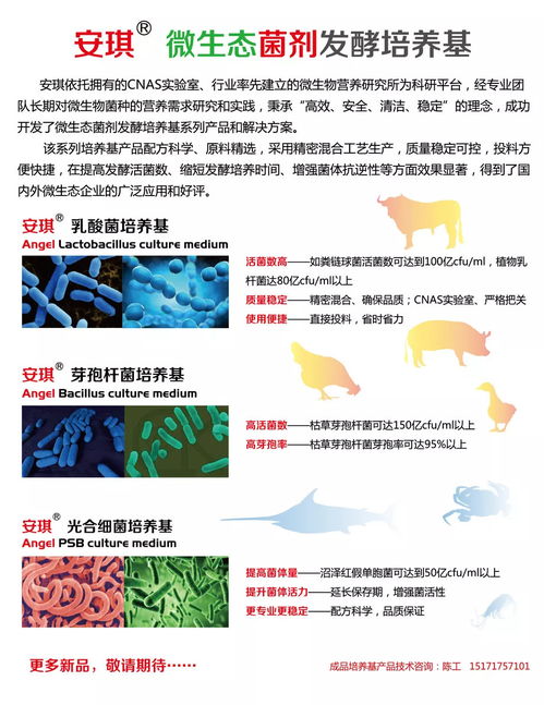 聚焦 饲料行业重大变化,多位专家在宜支招