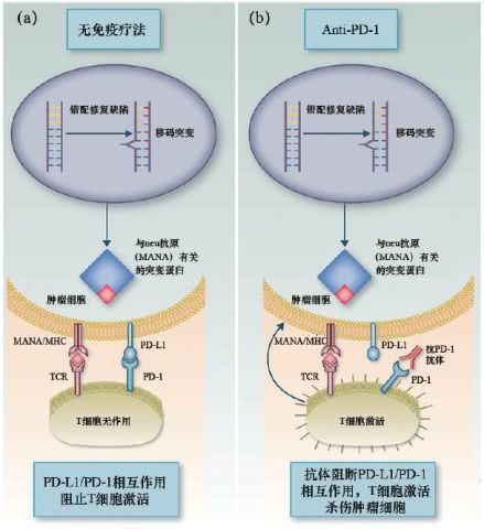 生物技术药物发展迅猛,突破性疗法认证推动药物创新 2017 年新药研发热点回眸