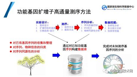 邓晔 微生物生态与组学大数据分析 国家微生物科学数据中心网络精品课